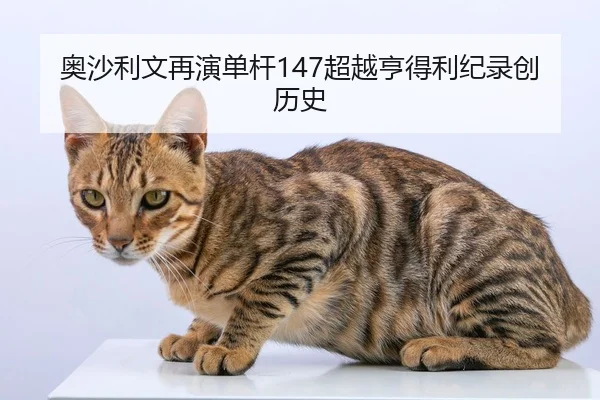 奥沙利文再演单杆147超越亨得利纪录创历史