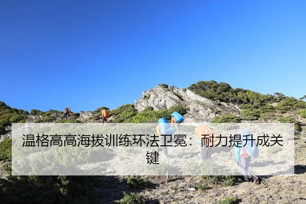 wen-ge-gao-gao-hai-ba-xun-lian-huan-fa-wei-mian-nai-li-ti-sheng-cheng-guan-jian-2-109.jpg