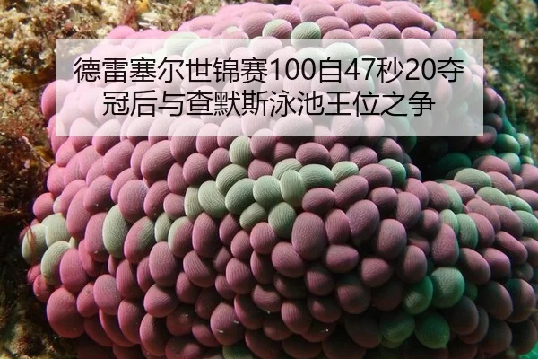 de-lei-sai-er-shi-jin-sai-zi-miao-duo-guan-hou-yu-cha-mo-si-yong-chi-wang-wei-zhi-zheng-2-912.jpg